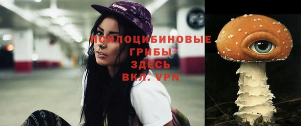 мдпв Баксан