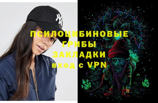 mix Белокуриха