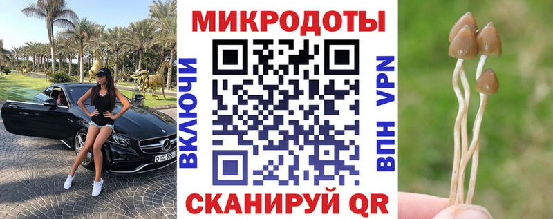 цены   Богданович  Псилоцибиновые грибы Cubensis 